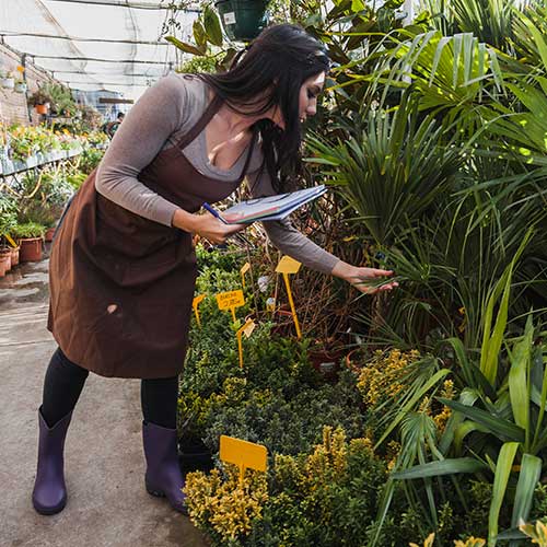 garden-planning-thumbnail